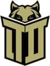 Team Demiral Esports